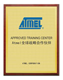 Atmel˾ȫ(zhn)Ժ